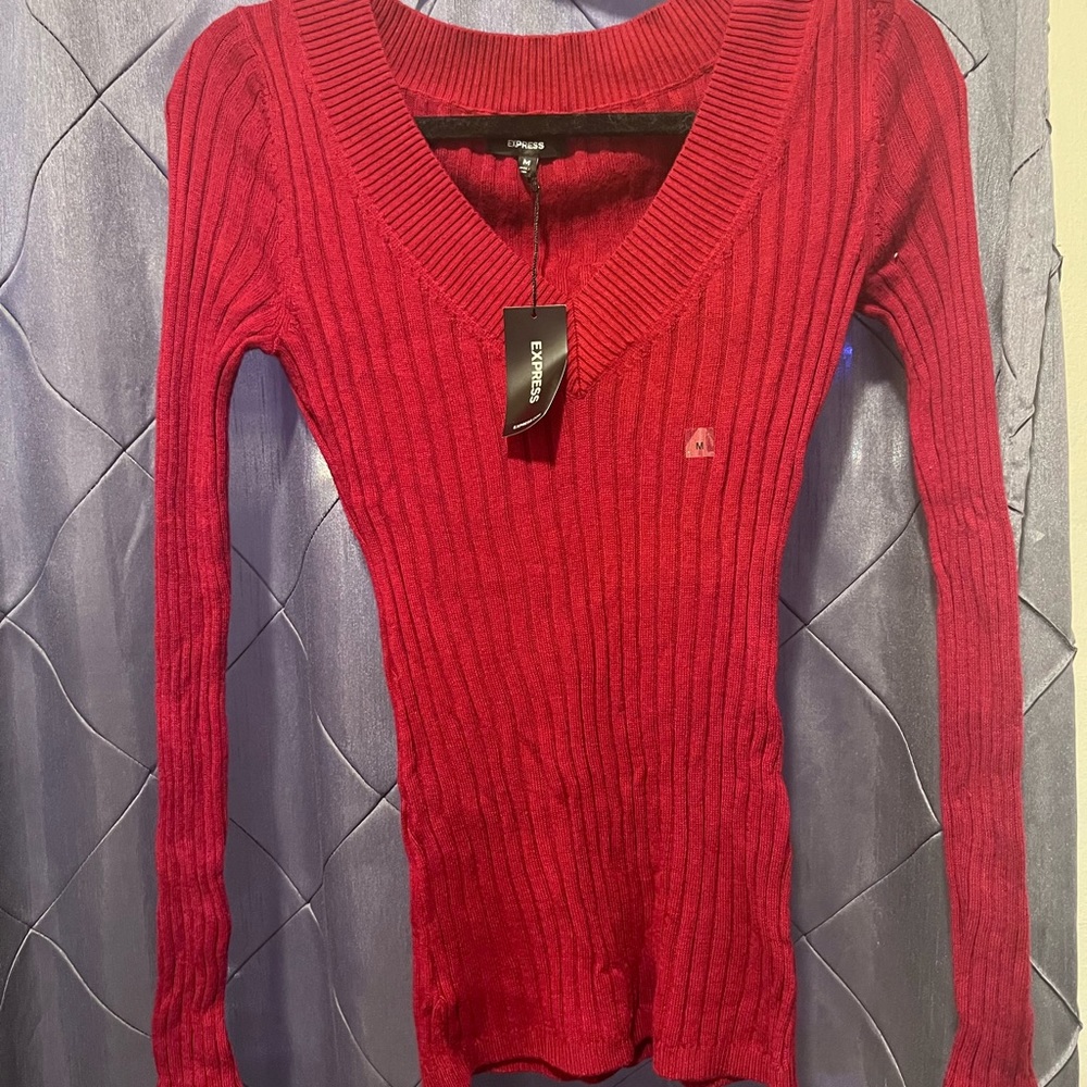 Express V-Neck Ribbed Sweater